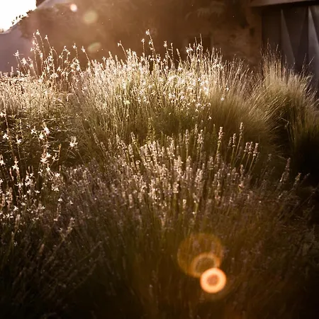 Romantica En El Campo, Cantallops, Girona