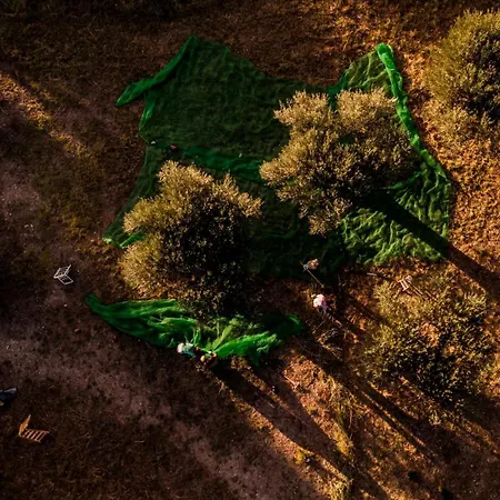 Romantica En El Campo, Cantallops, Girona *