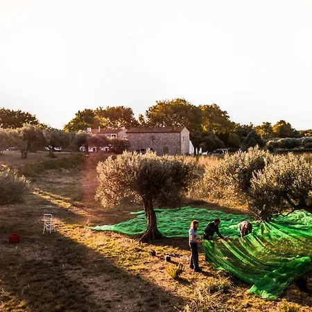 Romantica En El Campo, Cantallops, Girona