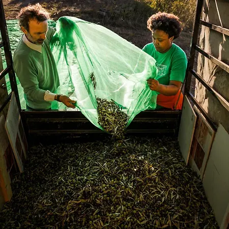 Romantica En El Campo, Cantallops, Girona Appartamento