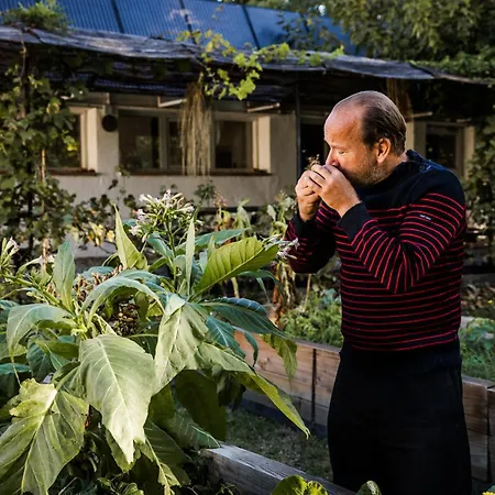 Romantica En El Campo, Cantallops, Girona