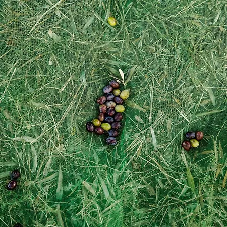 Romantica En El Campo, Cantallops, Girona Appartamento *