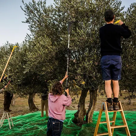 Appartamento Romantica En El Campo, Cantallops, Girona Cantallops