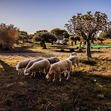Romantica En El Campo, Cantallops, Girona * Cantallops