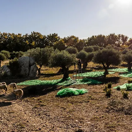 Romantica En El Campo, Cantallops, Girona * Cantallops