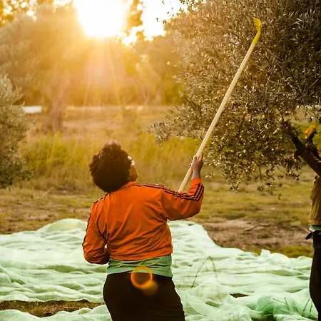 Romantica En El Campo, Cantallops, Girona Appartamento Cantallops
